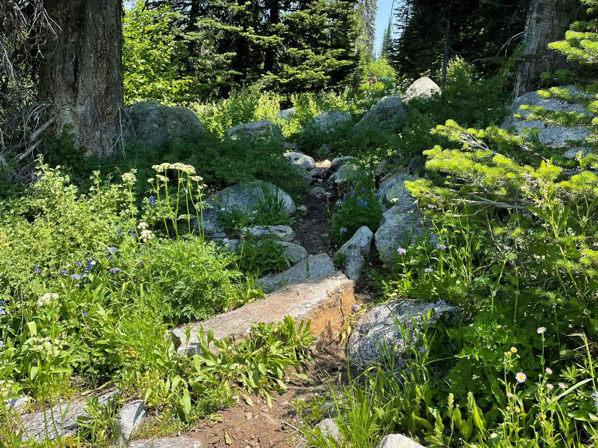 Hidden Lake Loop photo 4