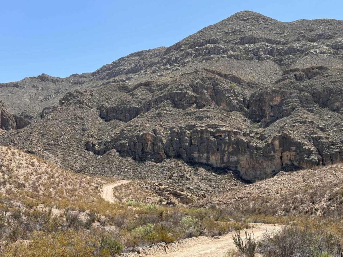 Black Gap Wildlife Management Area Road photo 4
