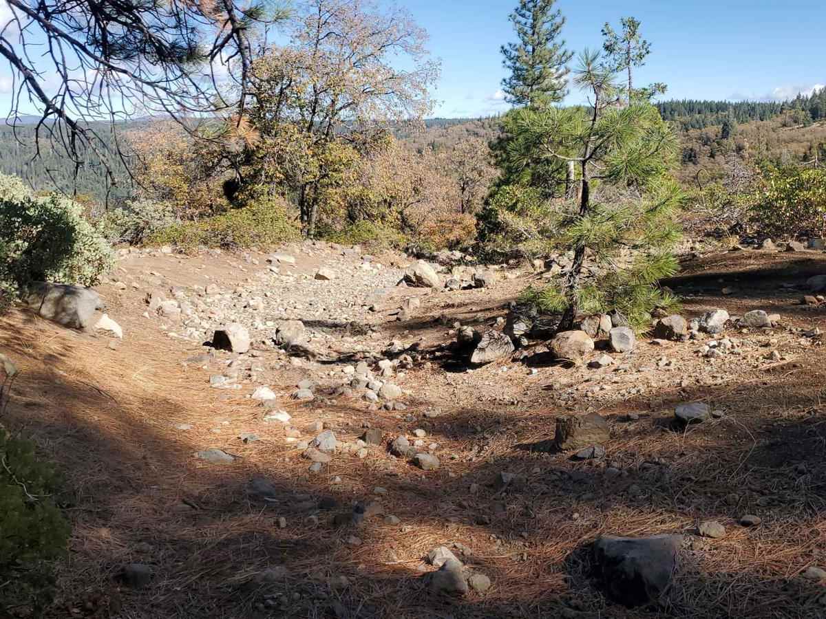 Red Point - (5001K-002) trail photo