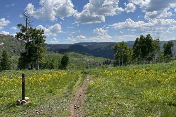 Willow Hollow Ridge