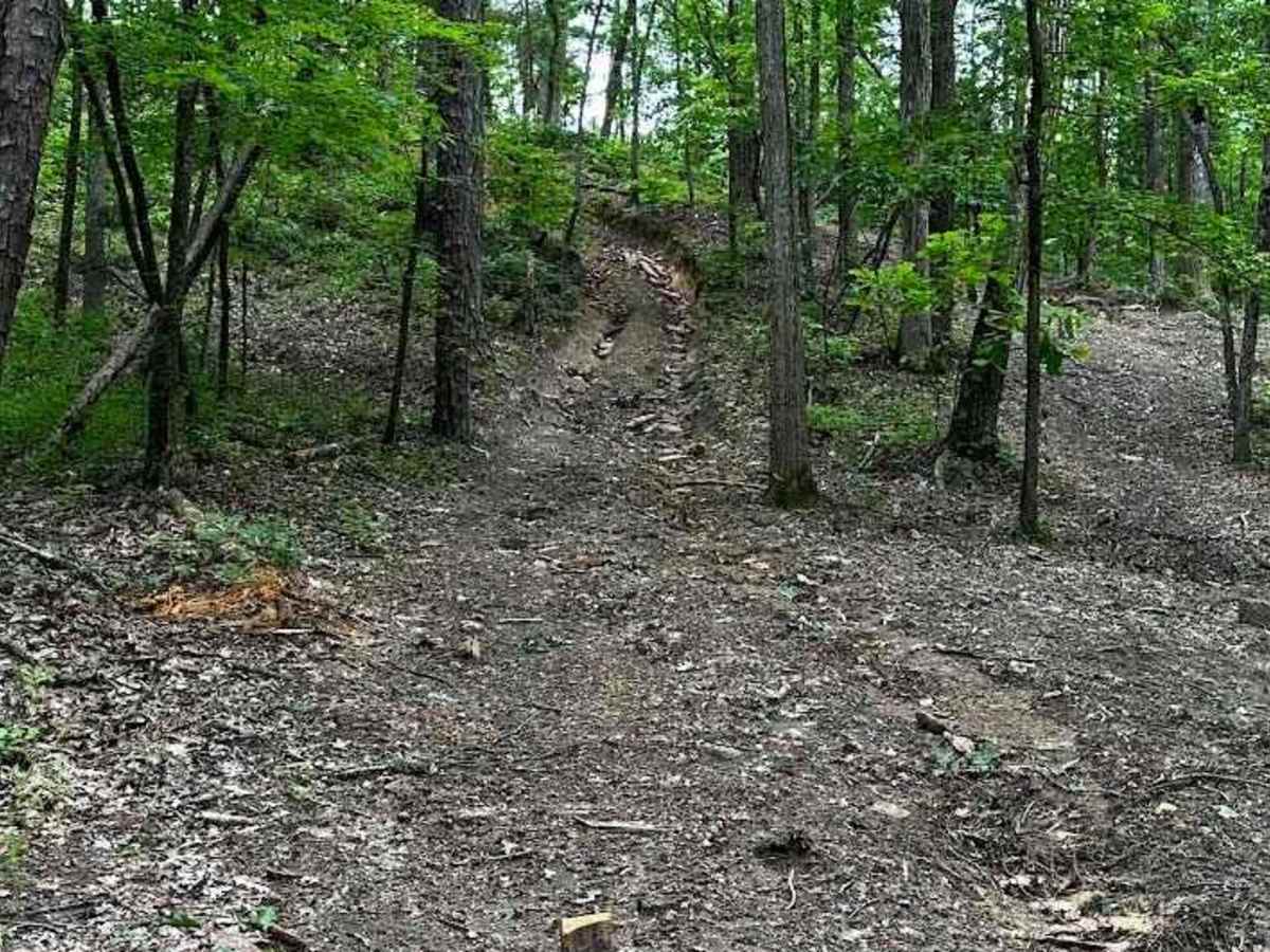 Trail 15 photo 2
