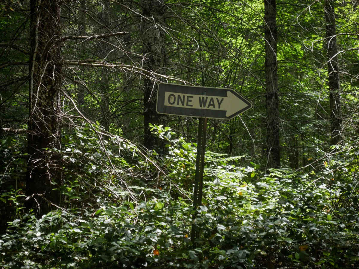 One-Way #98 photo 4