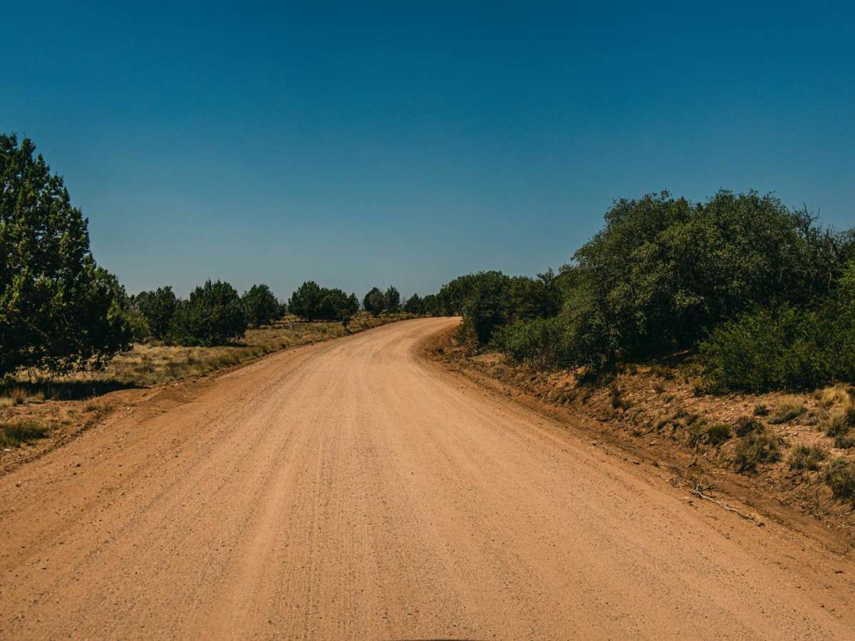 Fair Oaks to Spider Ranch photo 4