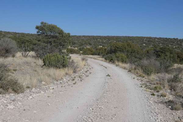 National Livestock Road