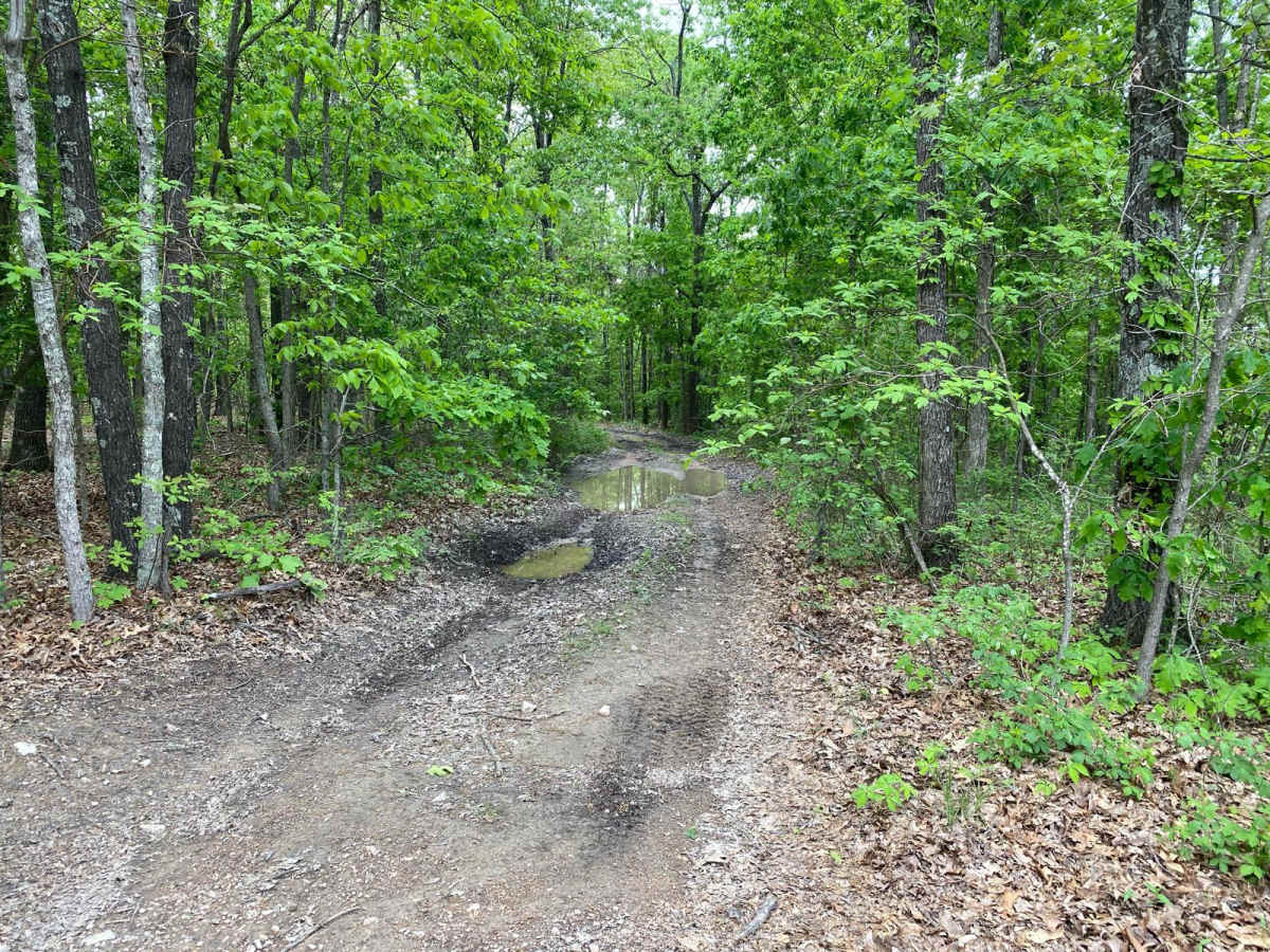 Buckshot trail photo