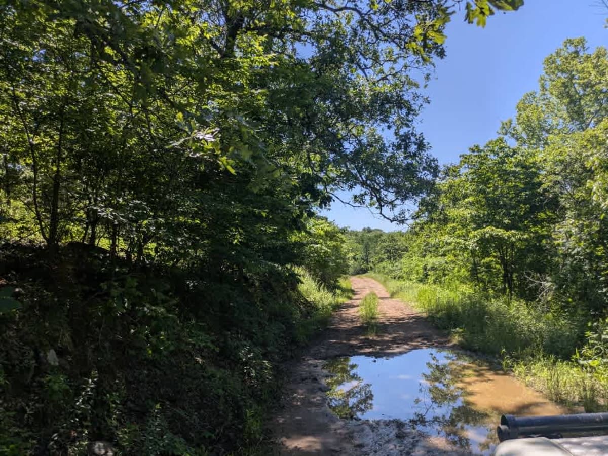 Black Hollow trail photo