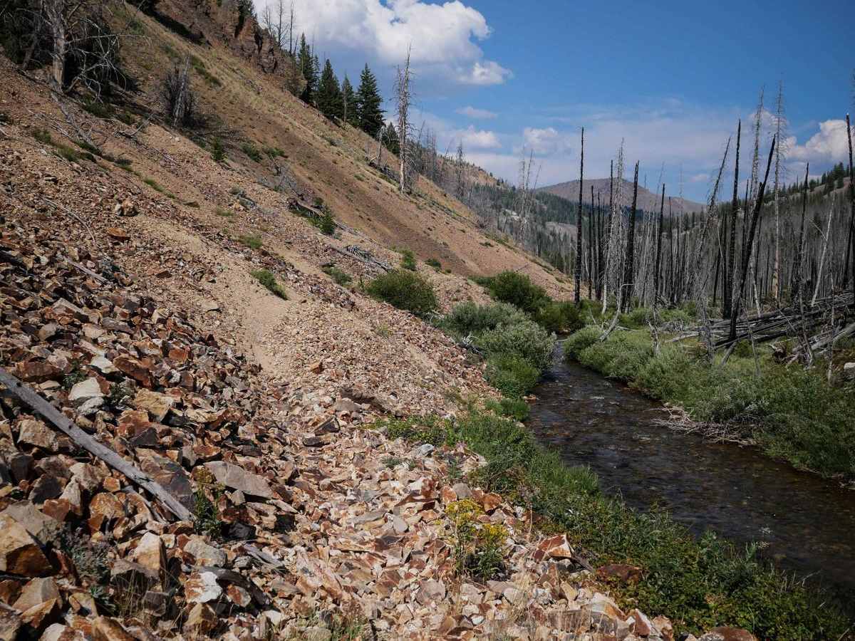 Westfork Yankee Fork photo 3