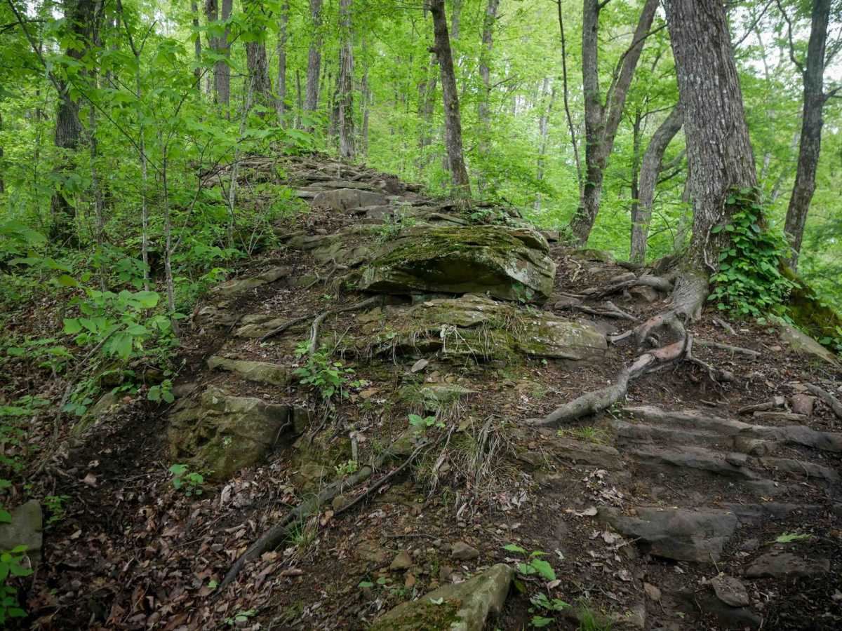BM 197 trail photo