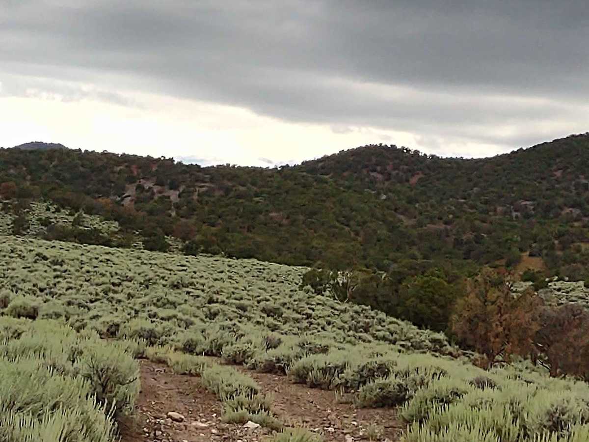 Powerline "Plus" photo 3