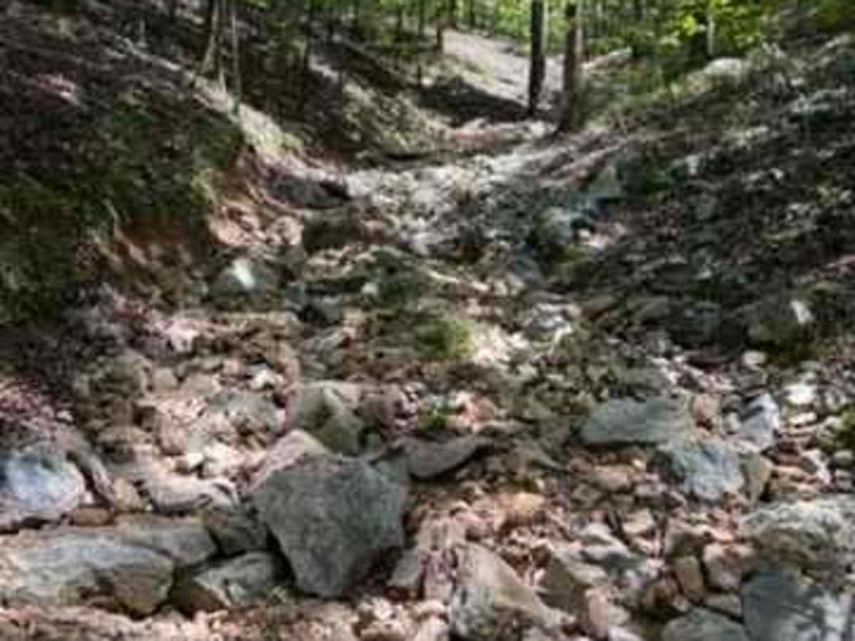 J29 Holtz Hill photo 3