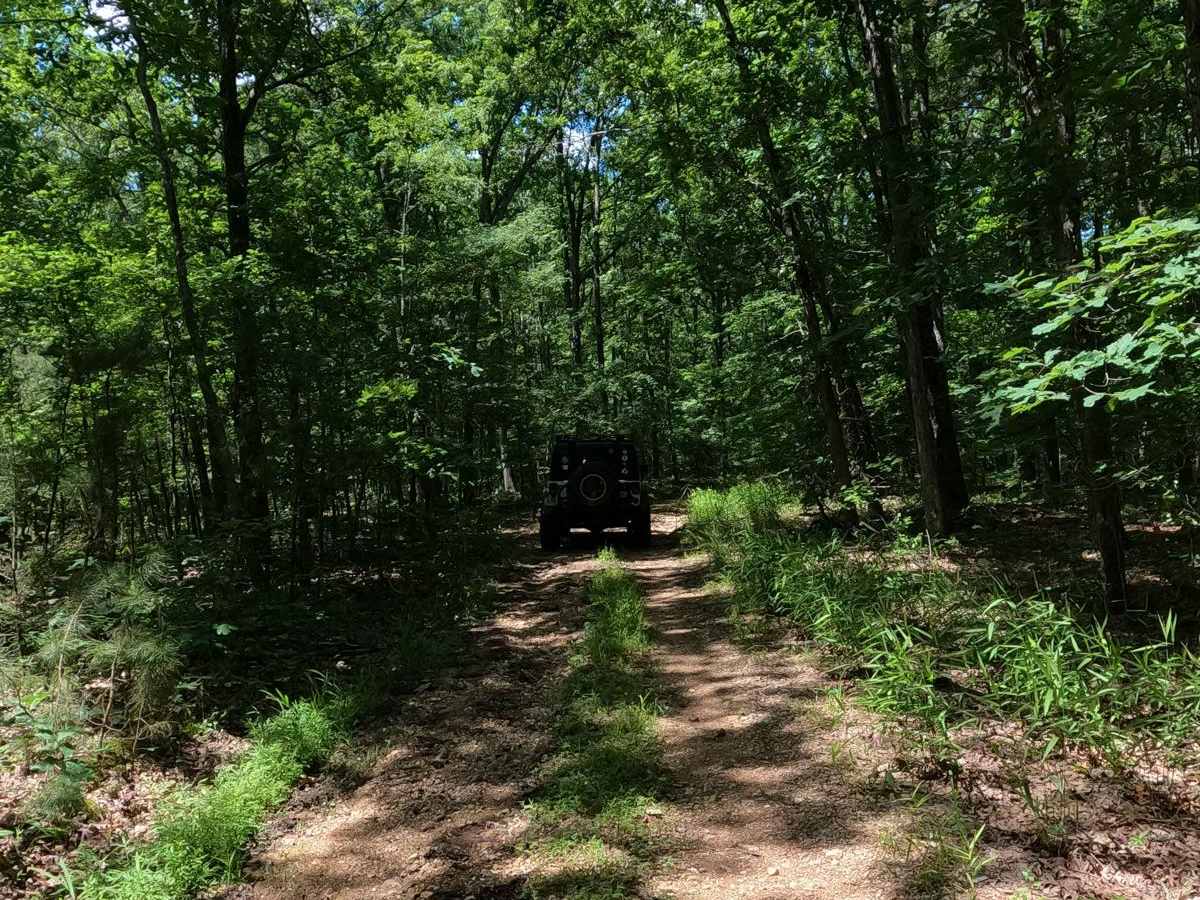Reader Hollow FSR 2155 photo 4