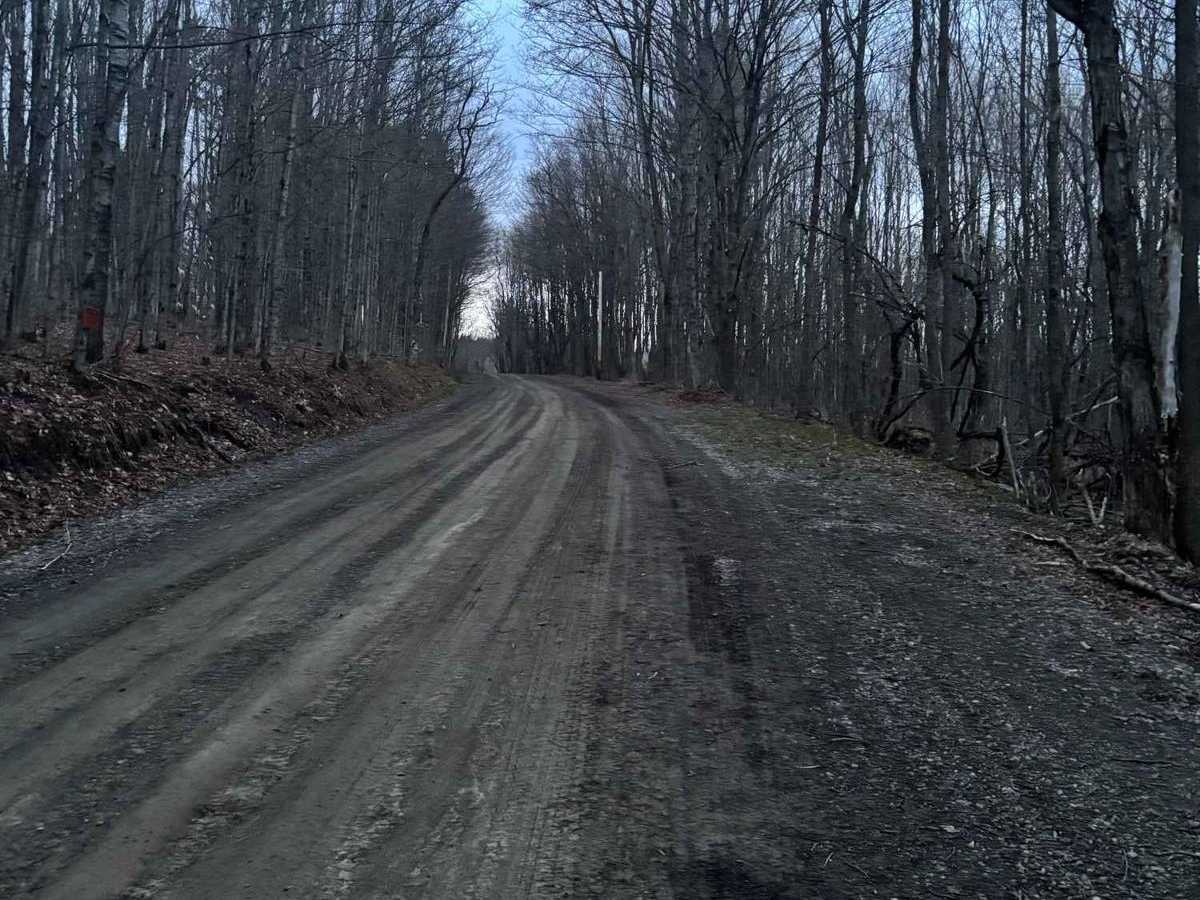 Walker Road photo 3