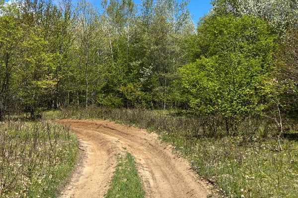 AG Trail