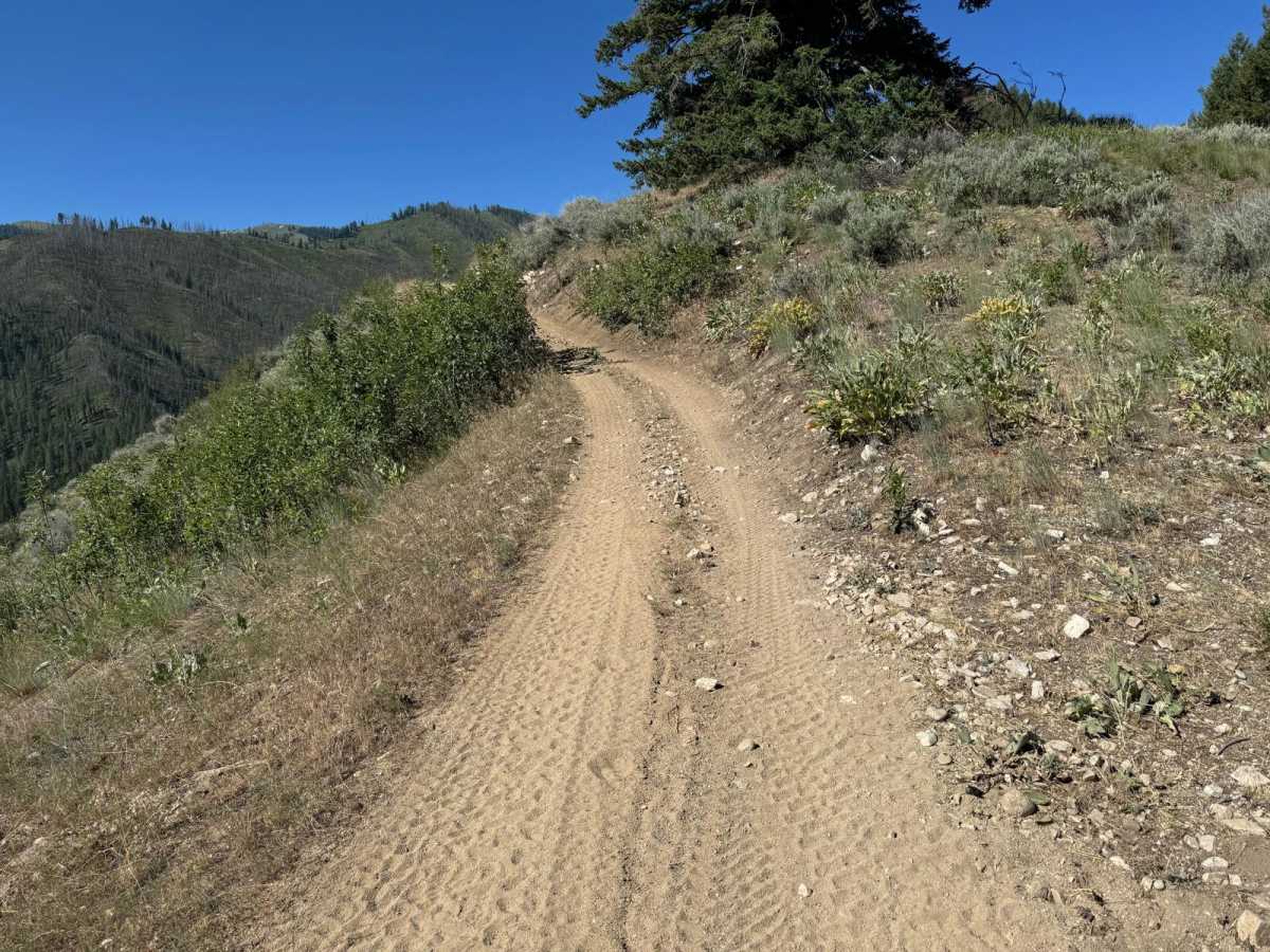 West Fork of Kelly Creek (Trail 7038) photo 4