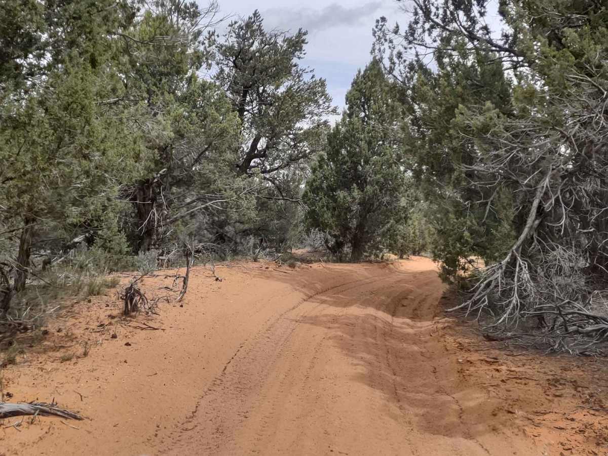 Kanab Creek Trail photo 4
