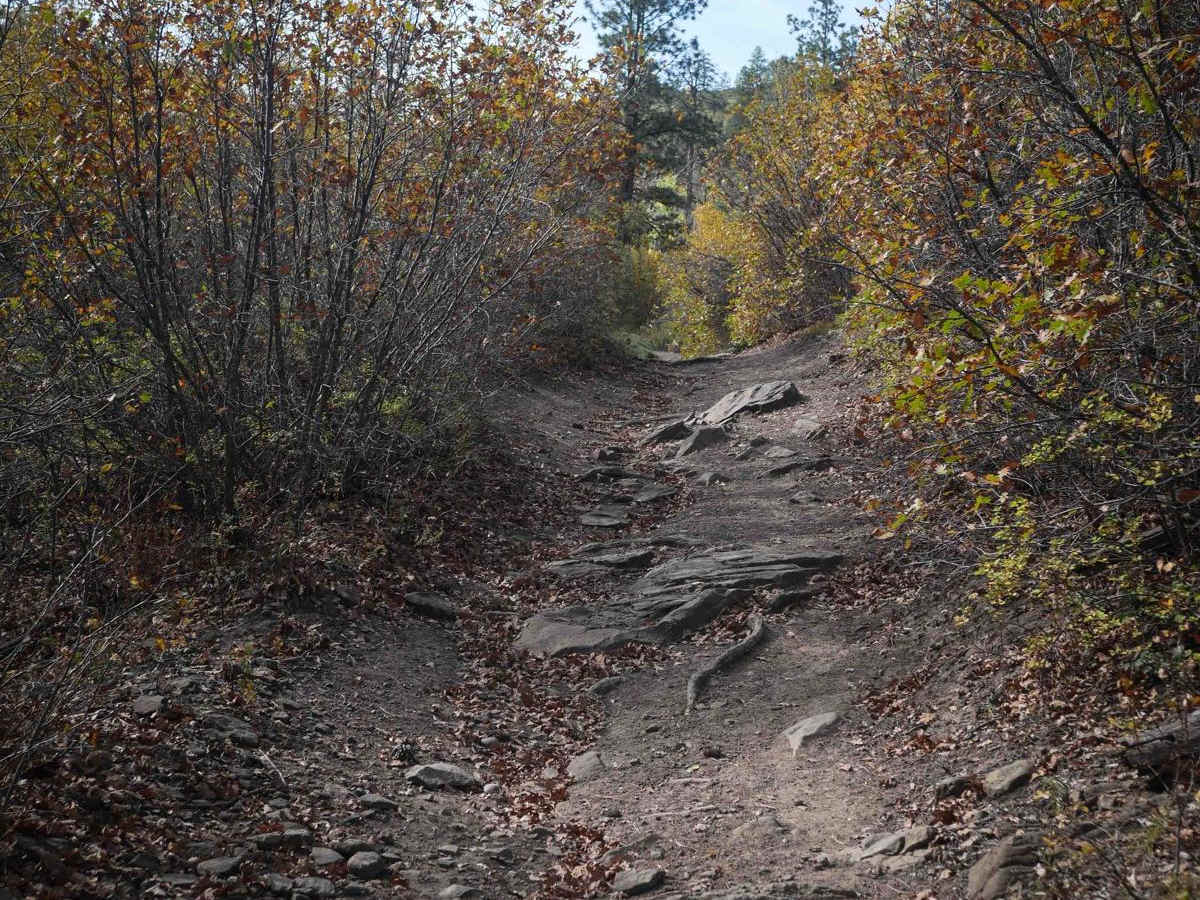 Lange Canyon photo 4