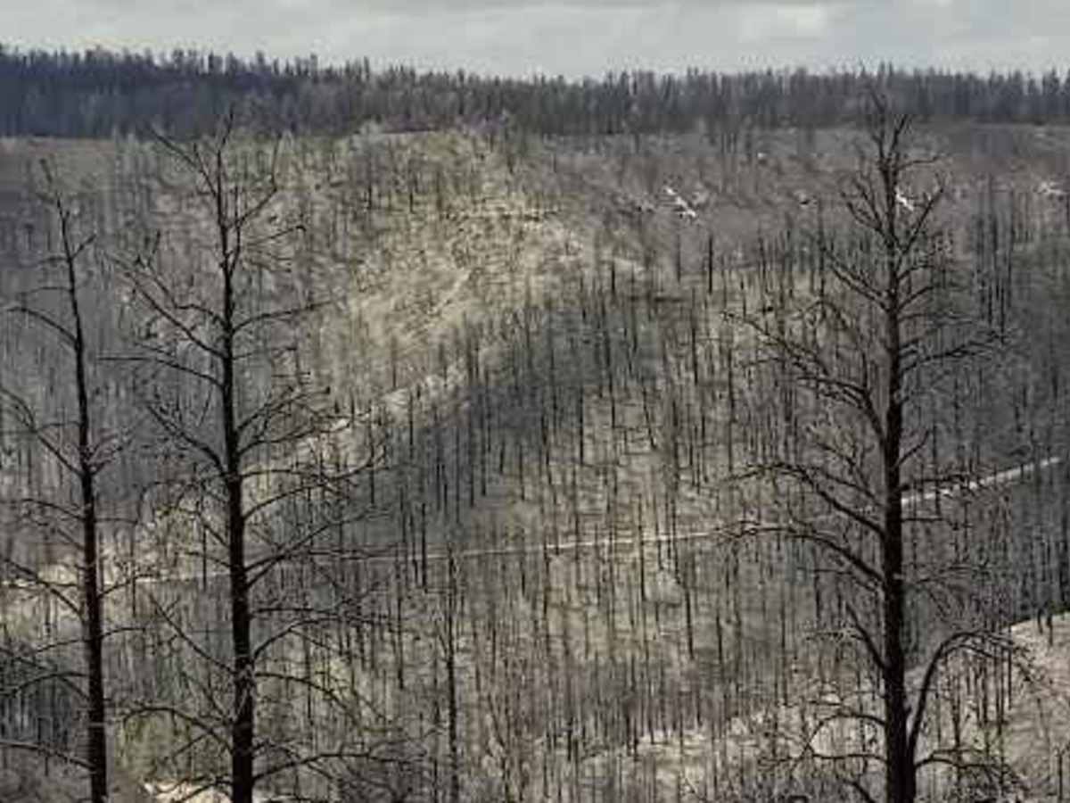 461/Jacob Lake photo 6