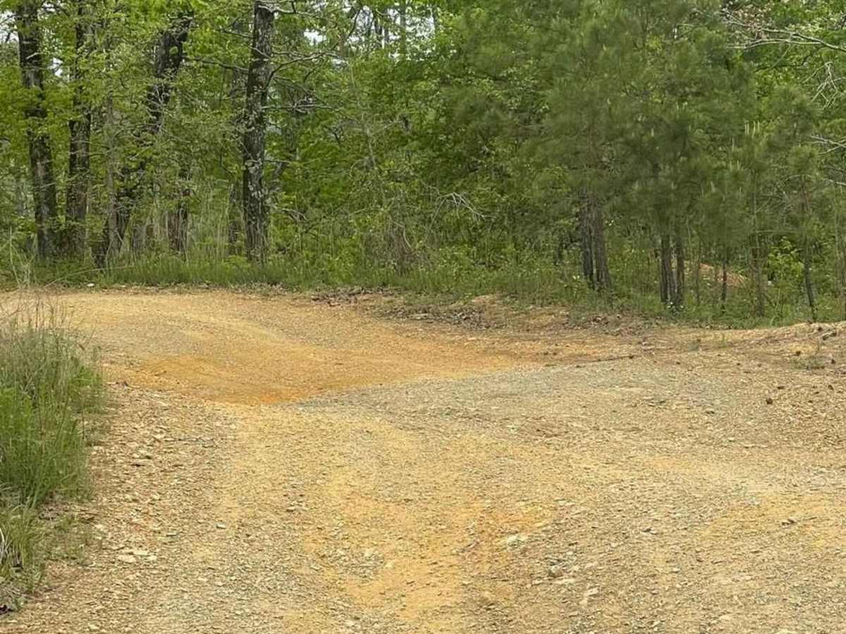 Hickory Nut Trail trail photo