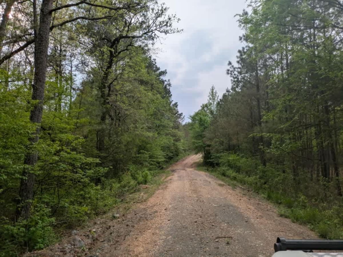 313 Road photo 5