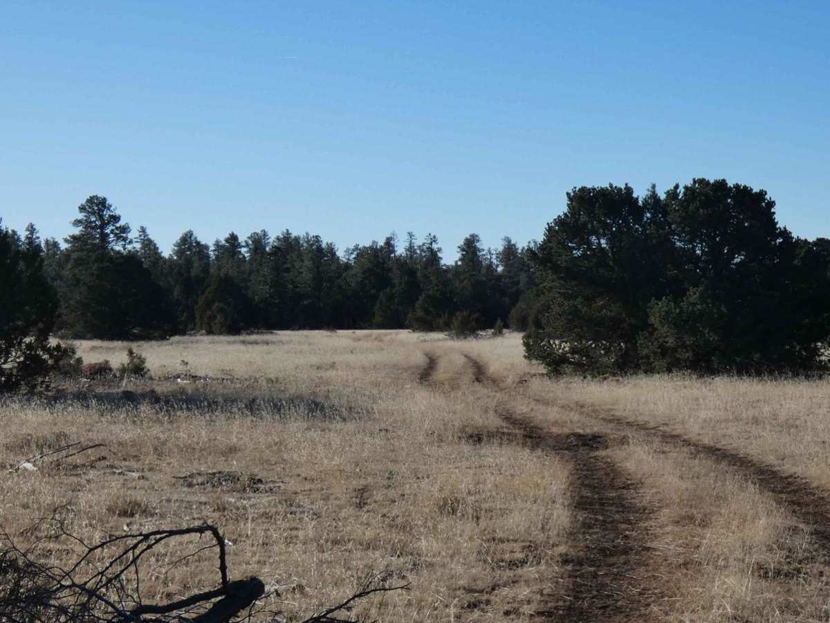 Barberro Mesa Drop photo 4