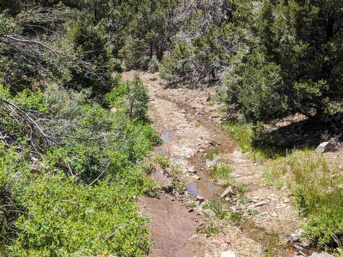 Hacketts Ranch Road photo 4