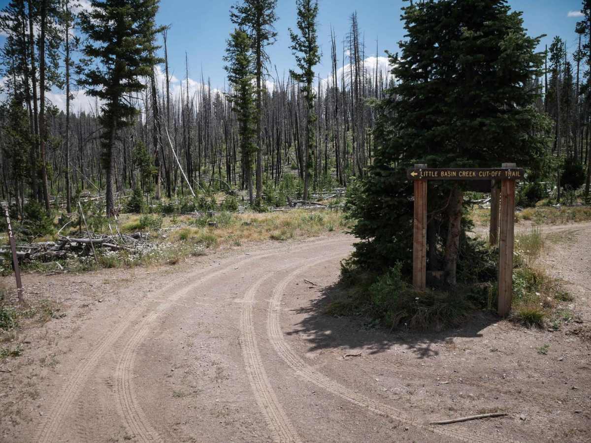 Little Basin Cutoff photo 5