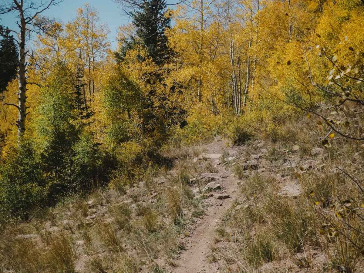 Little Red Trail photo 2