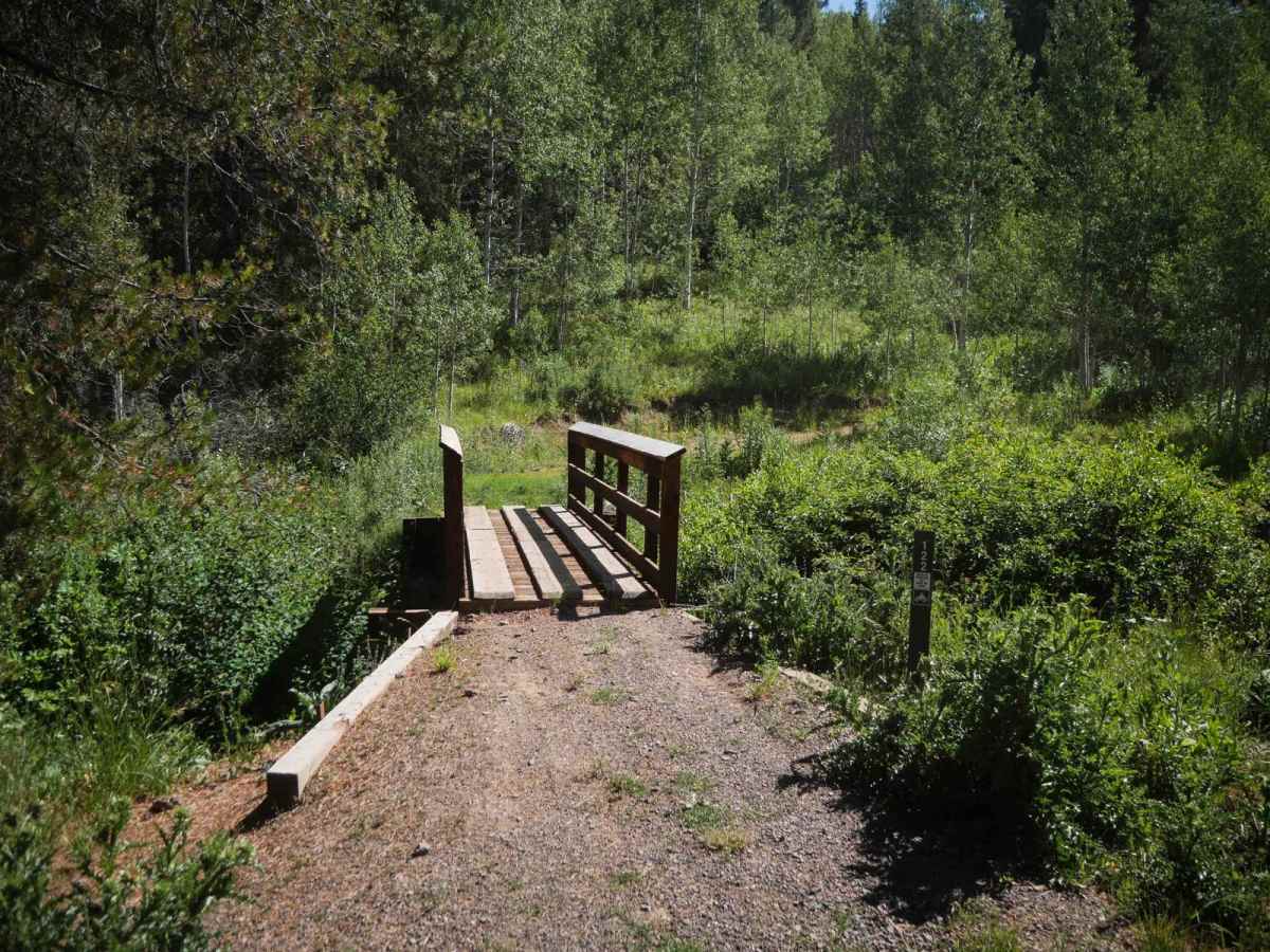 Coyote Creek #5122  photo 2