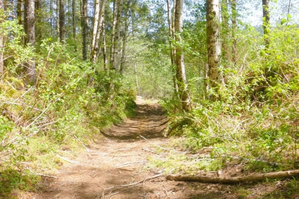 Zig Zag Trail