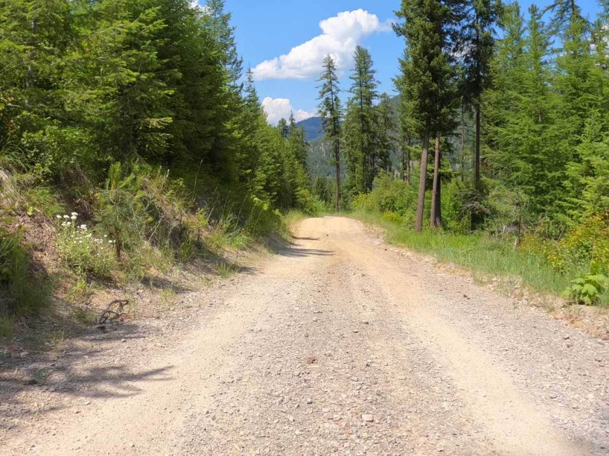Flat Creek Road - Pardee Creek Road photo 6