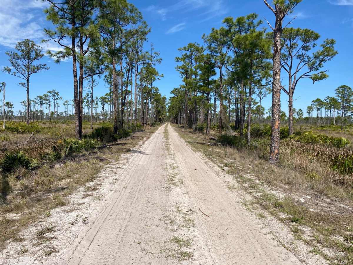 Seaboard Grade trail photo