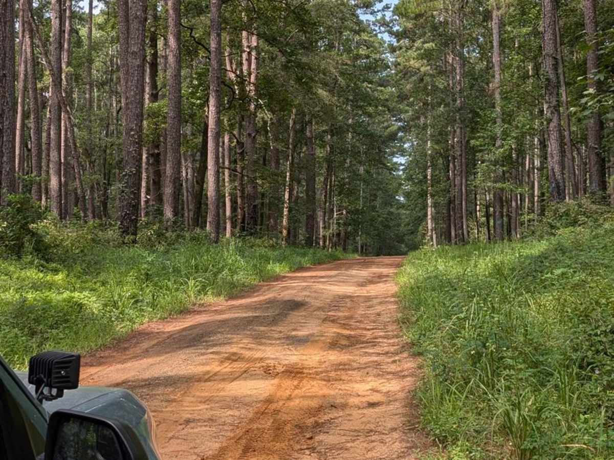 Railroad Spur trail photo