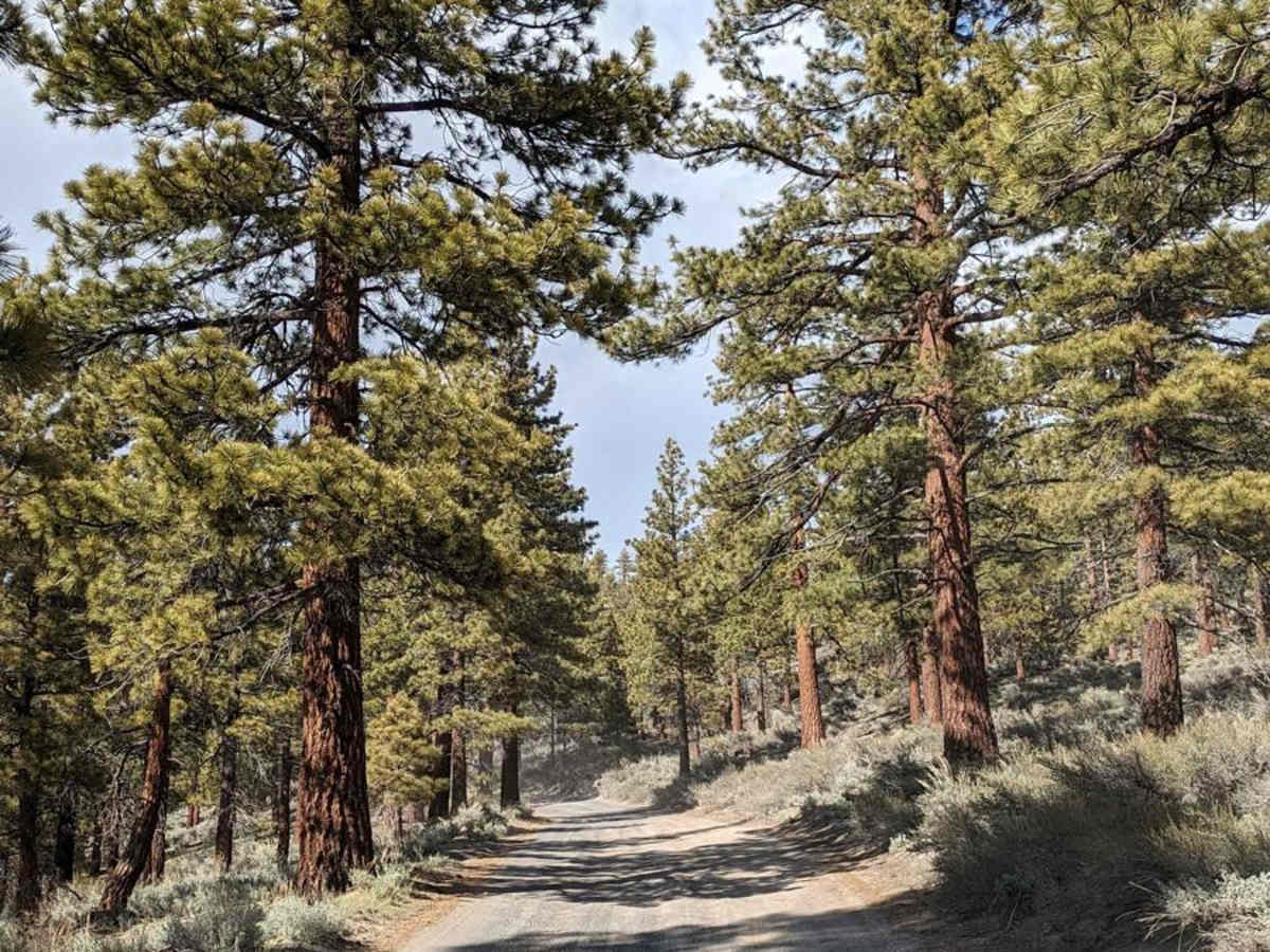 Antelope Springs Road West photo 5