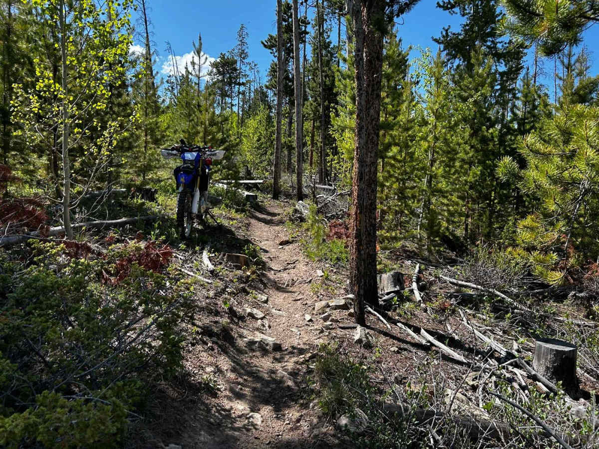 Snyder Creek Loop North Central photo 5