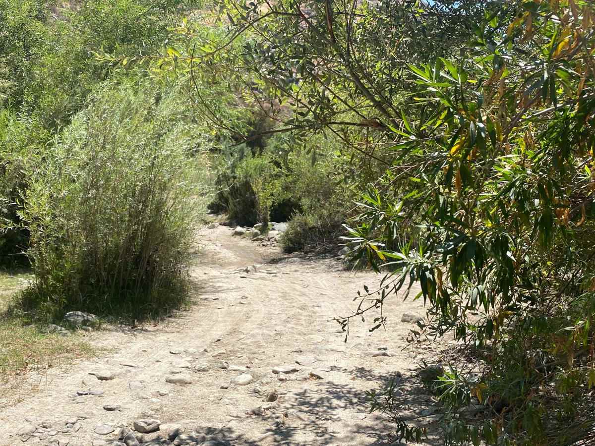Valle de Guadalupe to Russian Valley Hot Springs photo 5