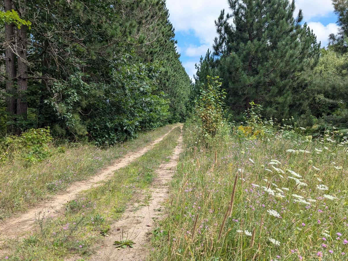 Brown Trail photo 3