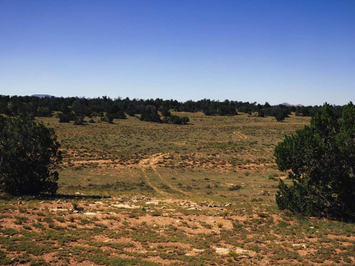 Powerdown trail photo