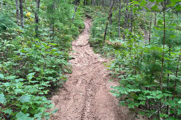 Sand Lake Motorcycle Trail