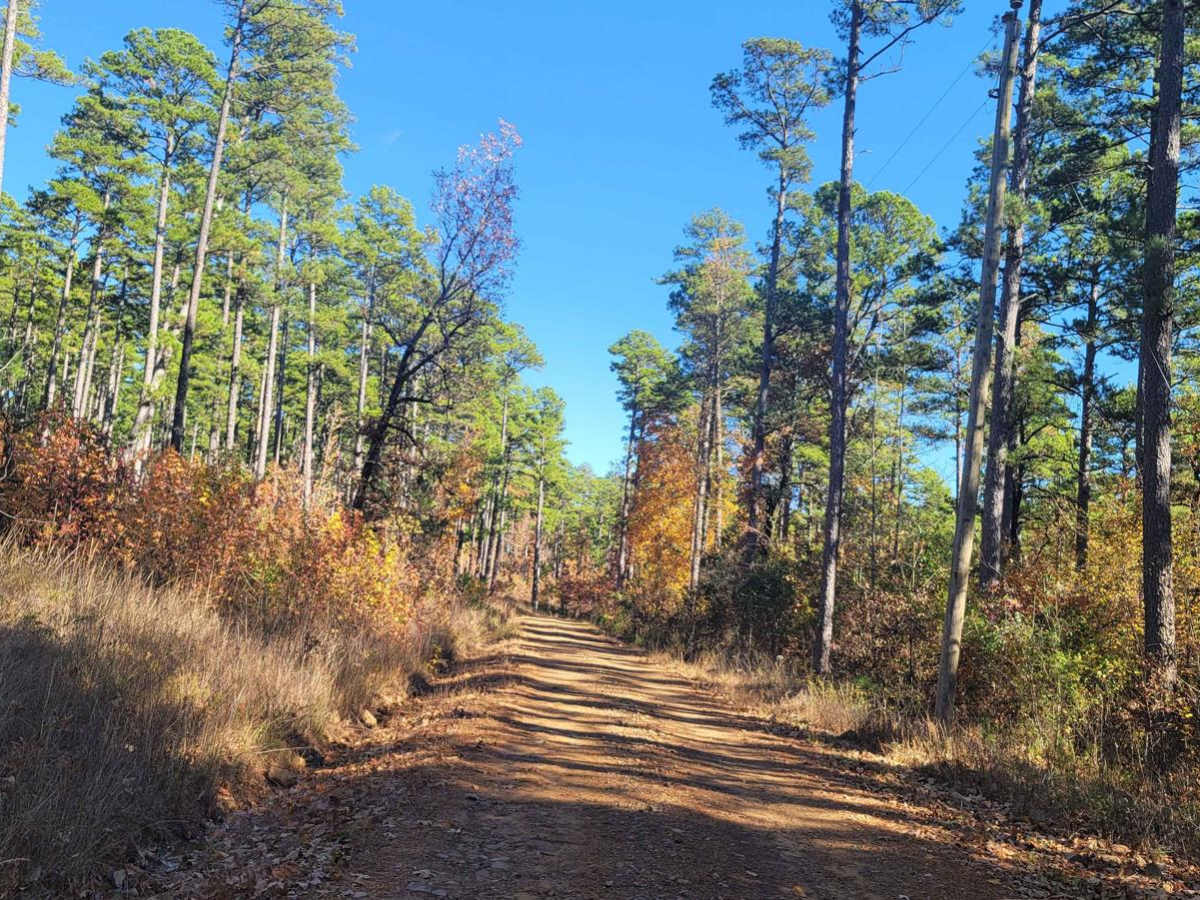 Champ Road to Nella Road photo 6