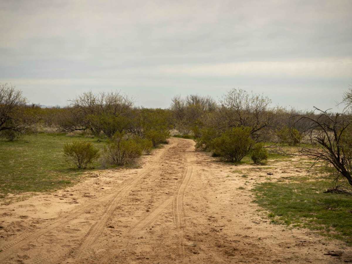 Veggie Nightmare trail photo