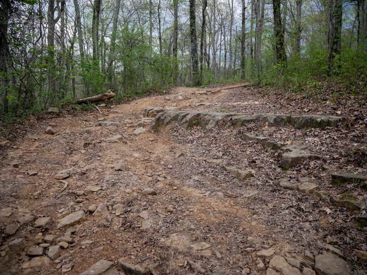 High Mountain Loop - North photo 5
