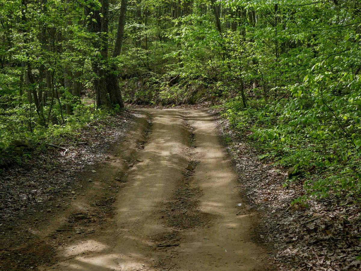 W44 trail photo