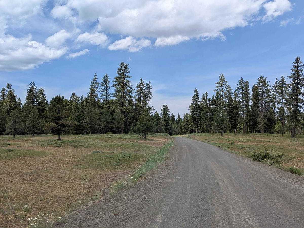 Wellamockin Road North NF46 photo 6