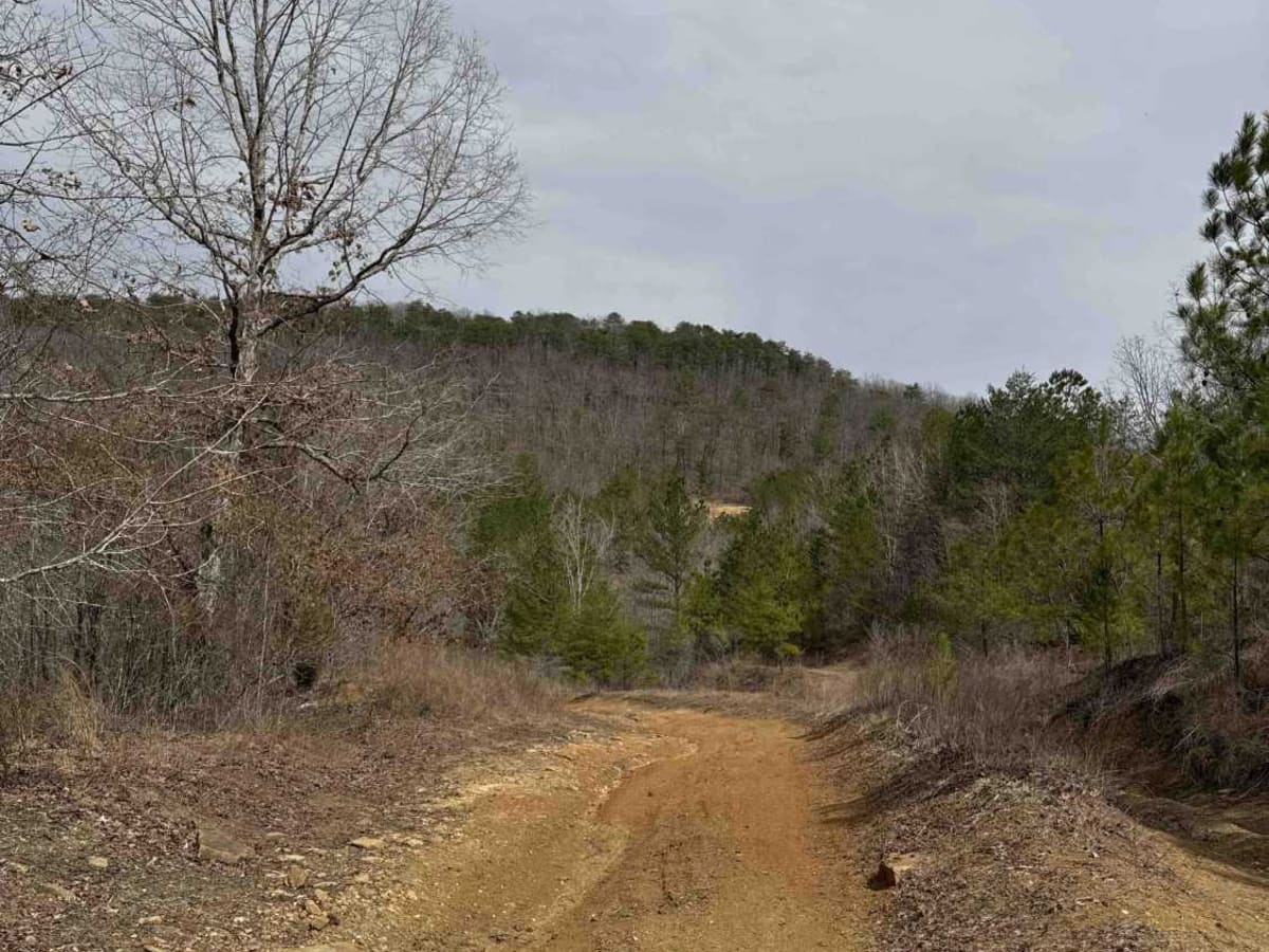 #73a Lower Ditch photo 4