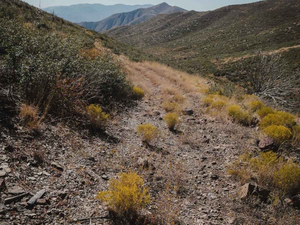 Little Wolf Creek photo 2