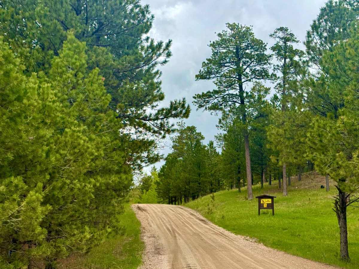 Beretta Road - FS 366.3 trail photo