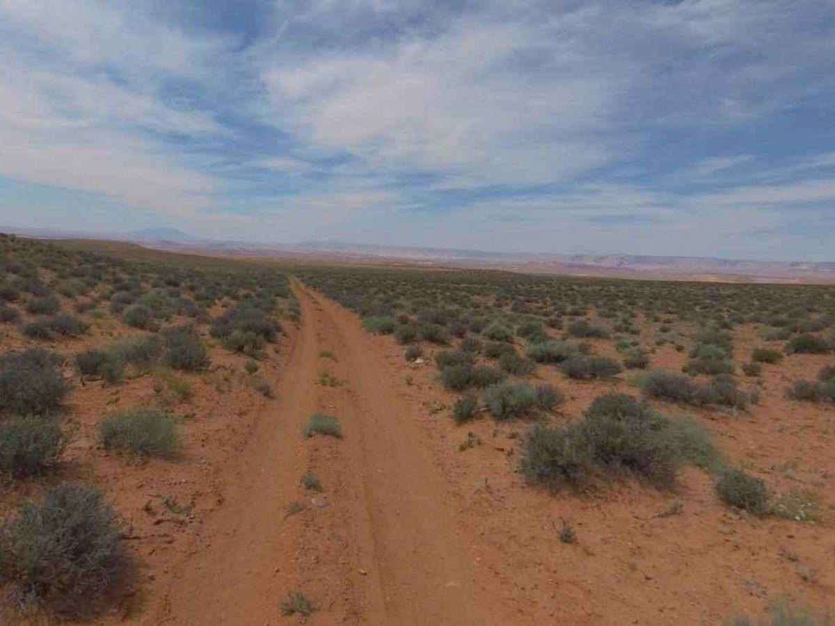 BLM13430 photo 5