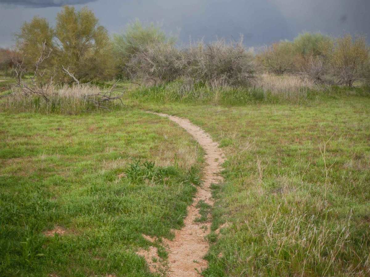 Camp Creek Access Single Track trail photo