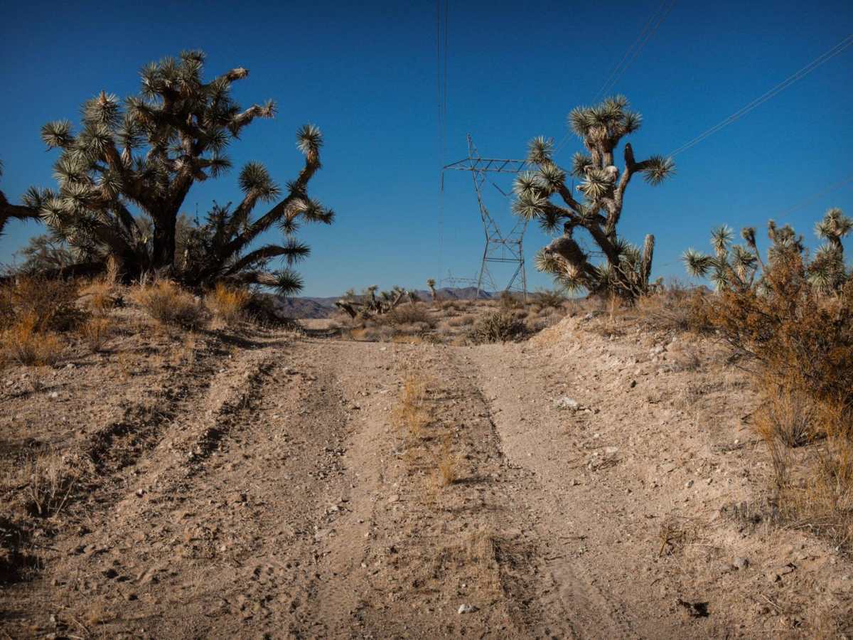Another Powerline Road Too photo 3