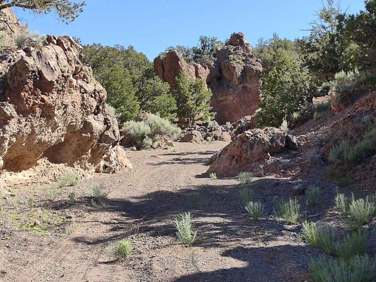 We're In A Tight Spot - BLM 5145 photo 3